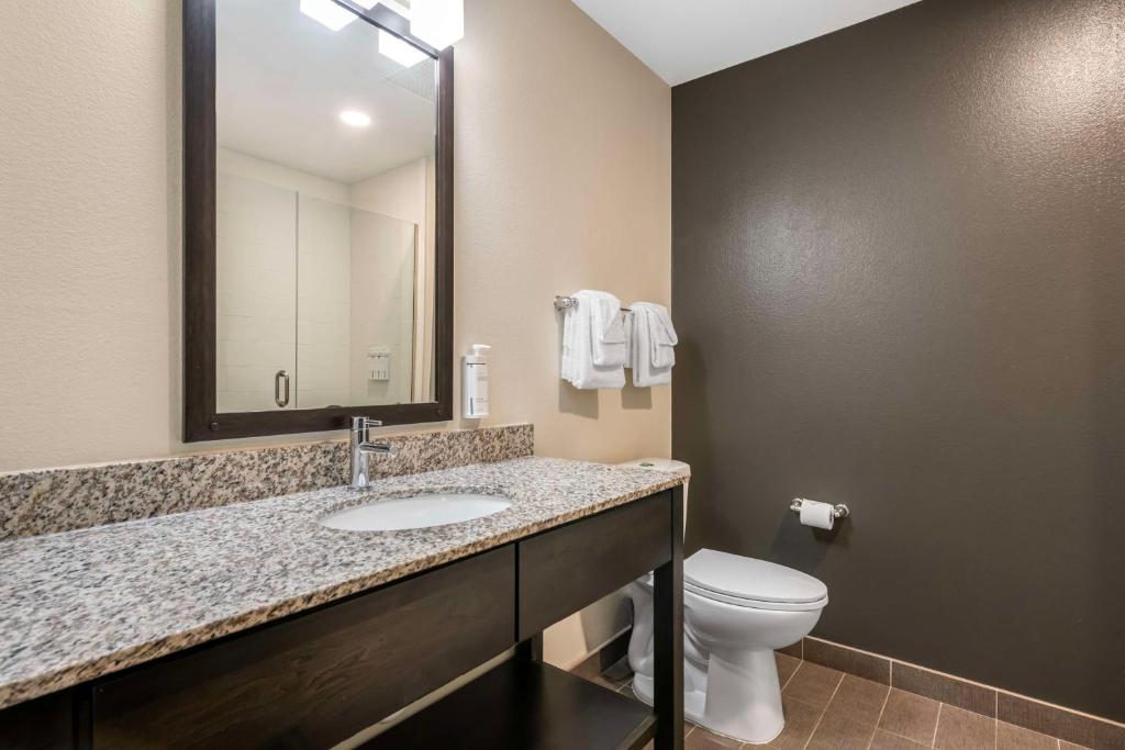 Tuvalet Tıkanıklık Açma